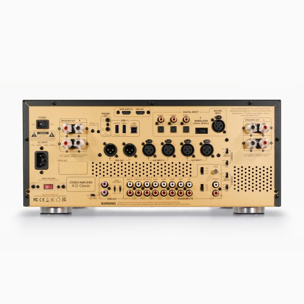 Advance Paris  A12 Classic Integrated pic of back connections