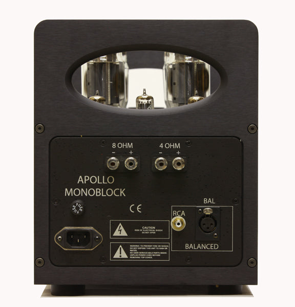 Rogue Audio Apollo Dark - Monoblock Amplifier-rear