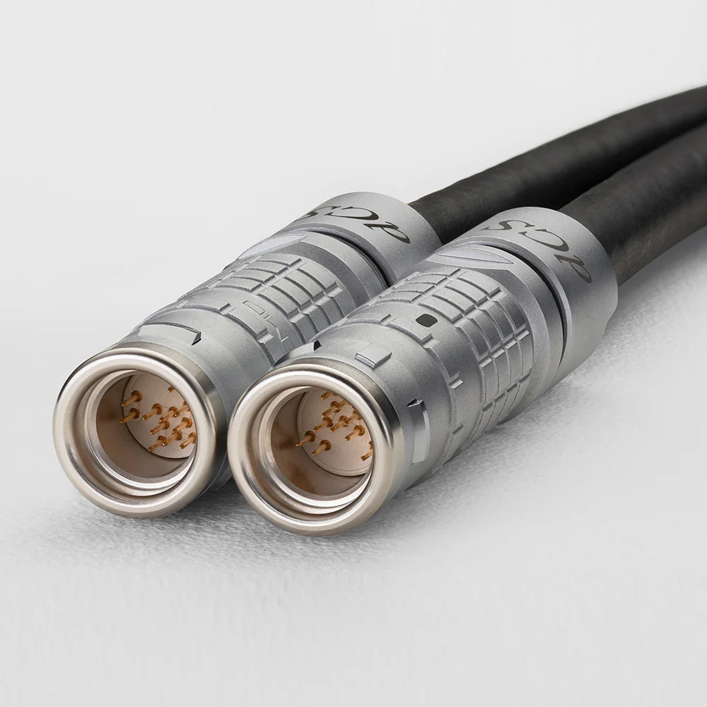 dCS Varèse Music System cable connector head-on view