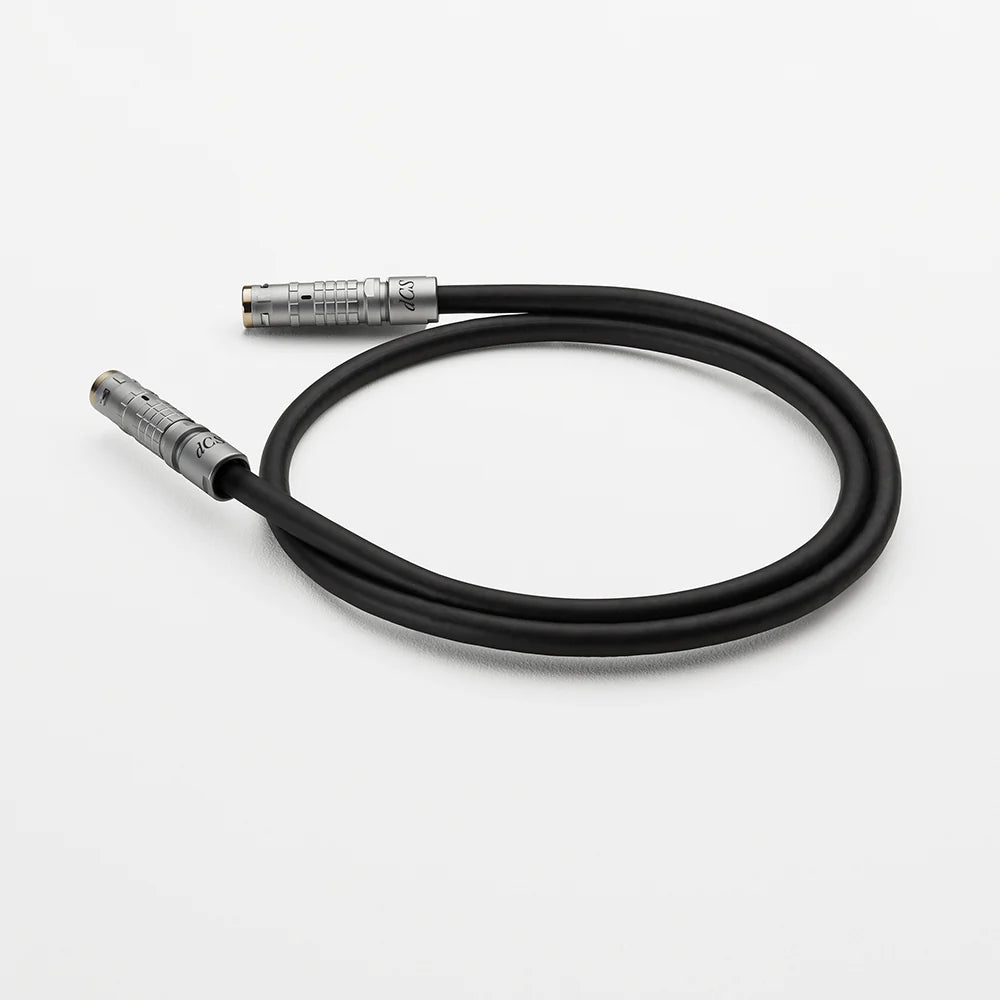 dCS Varèse Music System cable