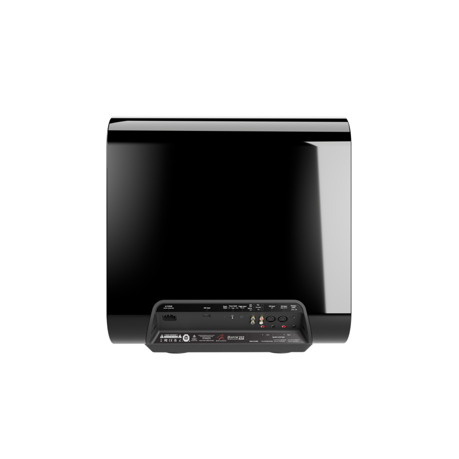 MartinLogan Depth 212 12-inch Subwoofer back view