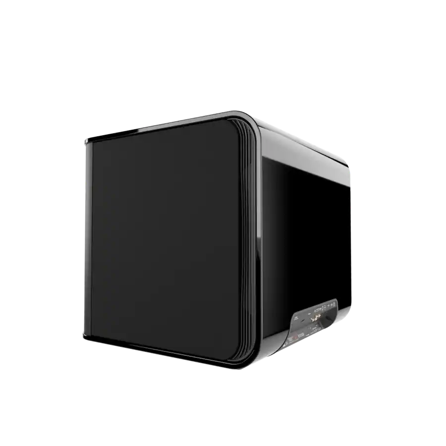 MartinLogan Depth 215 15-inch Subwoofer angled rear view