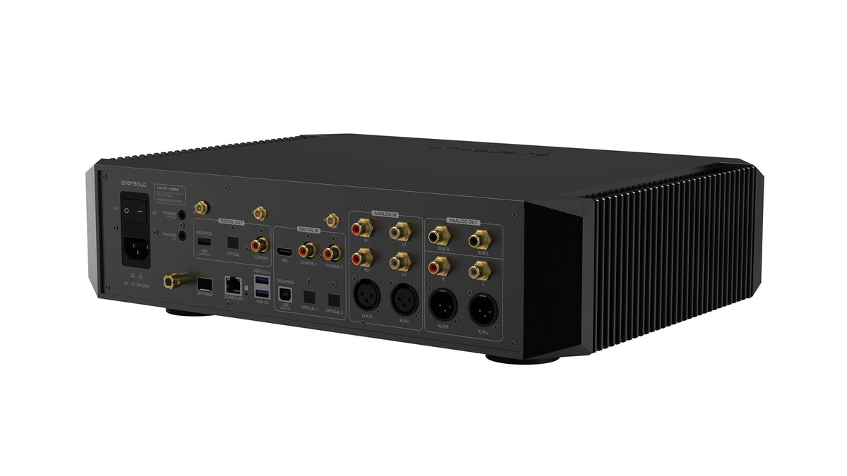 Eversolo DMP-A10 angled rear view