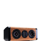Wooden speaker with black components on a white background