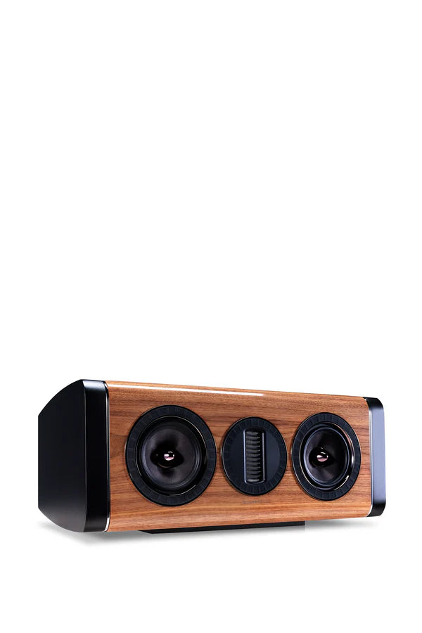Wooden speaker with black components on a white background