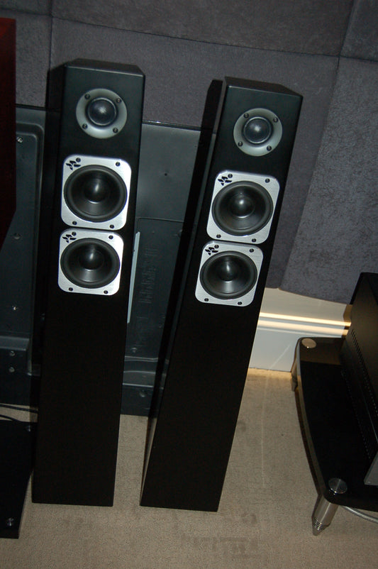 Totem Tribe Tower 2-Way Floorstanding Speaker -front view