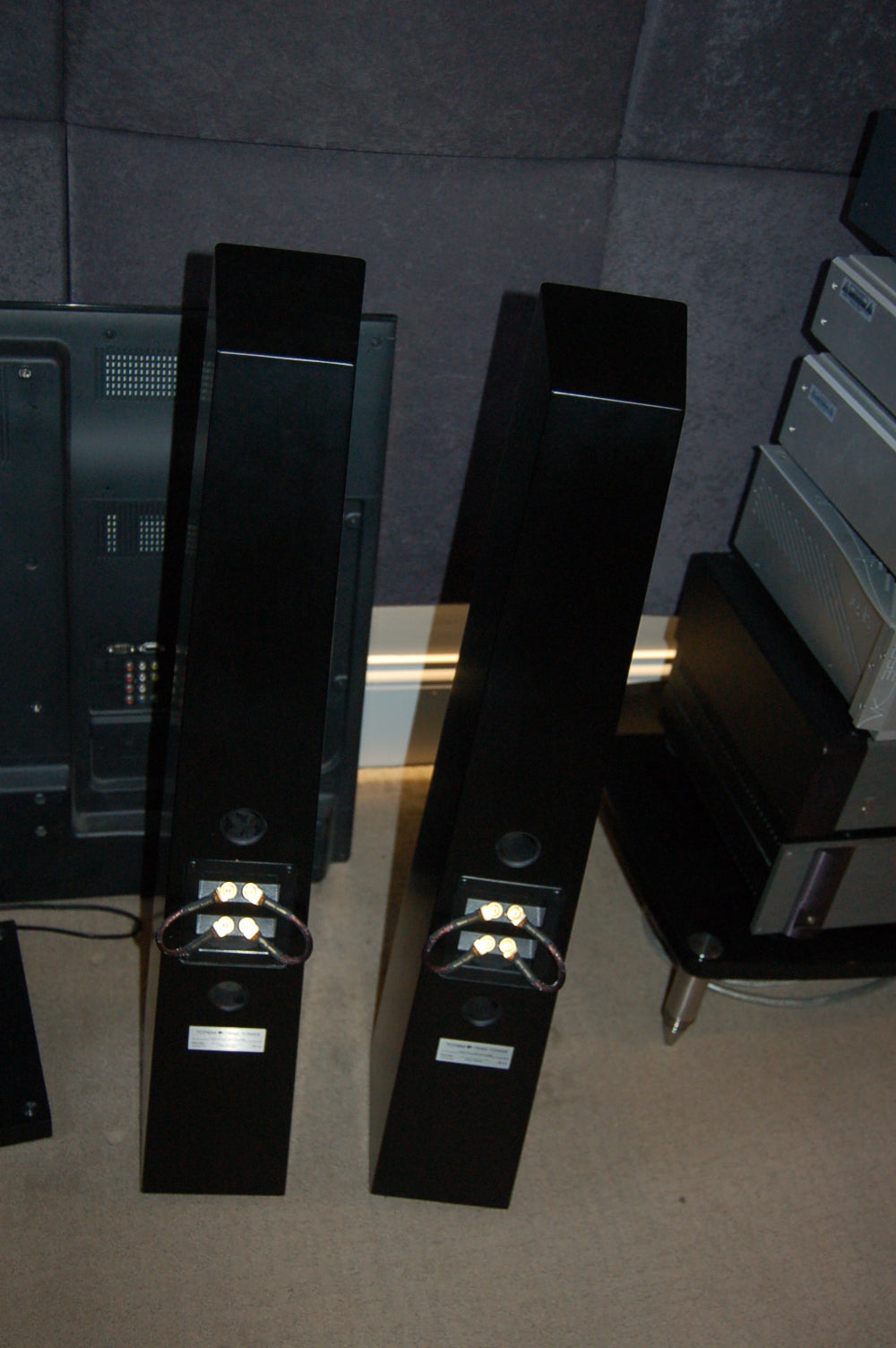 Totem Tribe Tower 2-Way Floorstanding Speaker -rear view