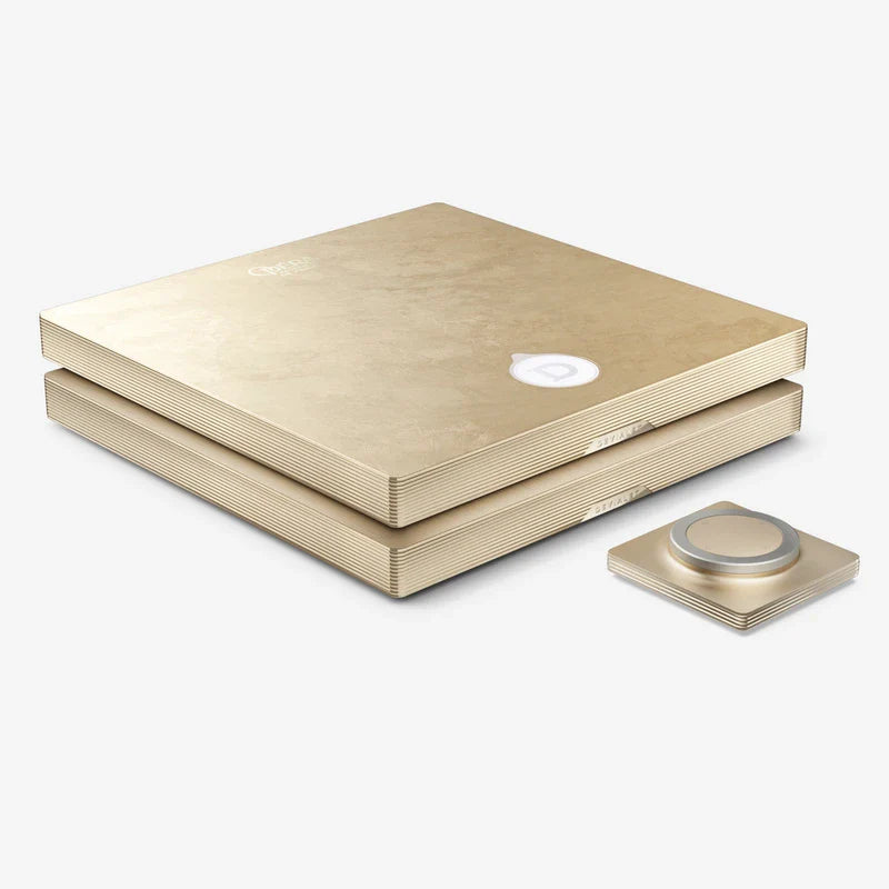 Devialet Astra Dual Mono