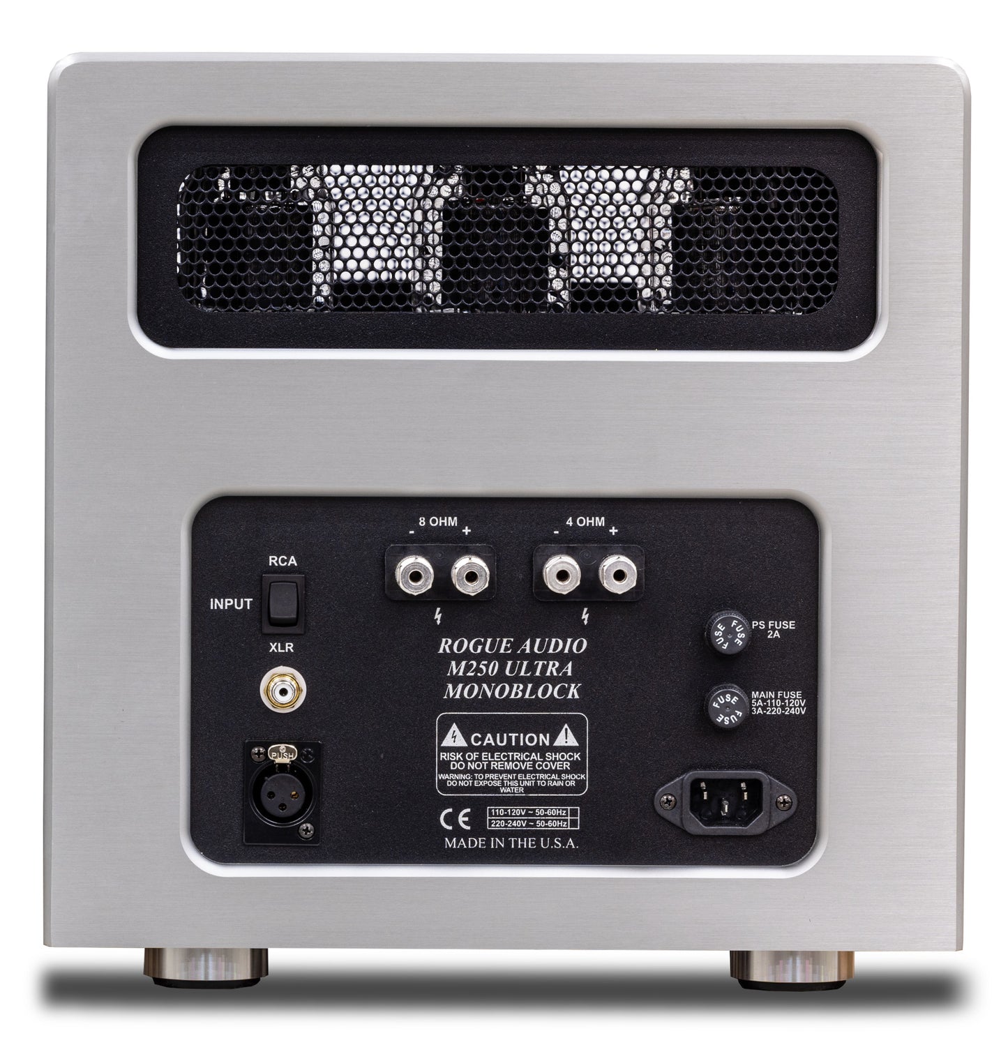 Rogue M-250 Ultra Monoblock Amplifiers rear view