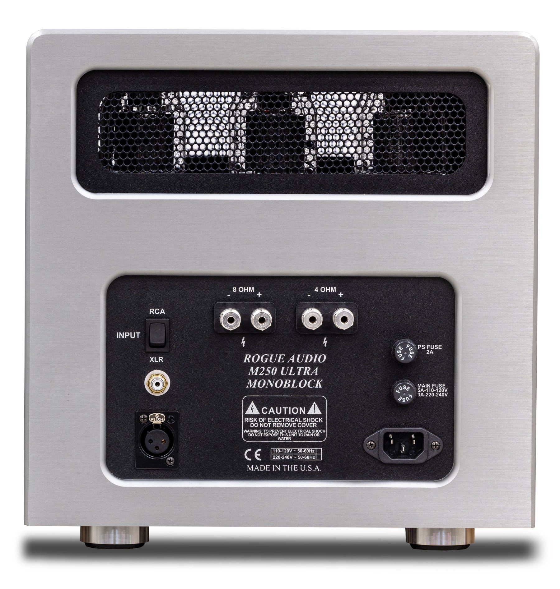 Rogue M-250 Ultra Monoblock Amplifiers rear view