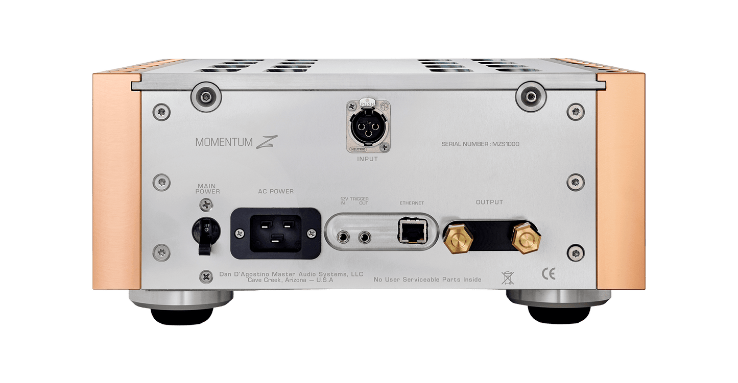 Dan D'Agostino Momentum Z Monoblock Amplifier-rear view