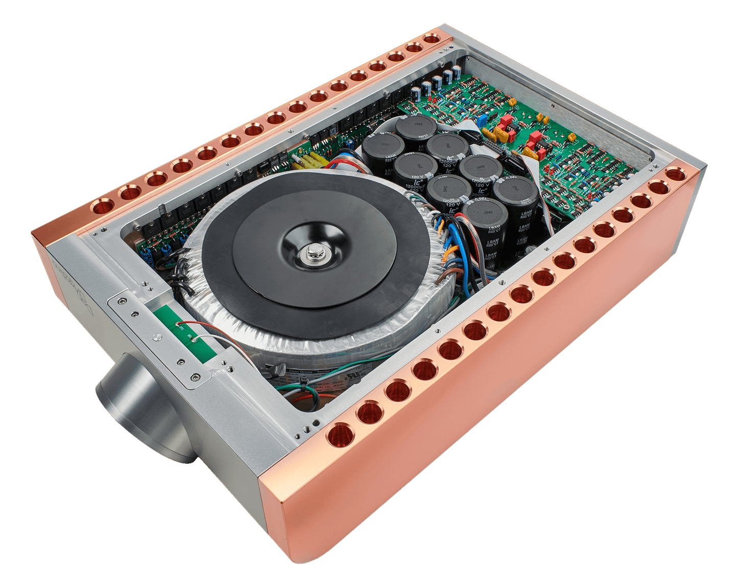 Dan D'Agostino Momentum S250 MxV Stereo Amplifier internal view