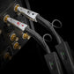 Audioquest Dragon RCA interconnects with DBS hooked up