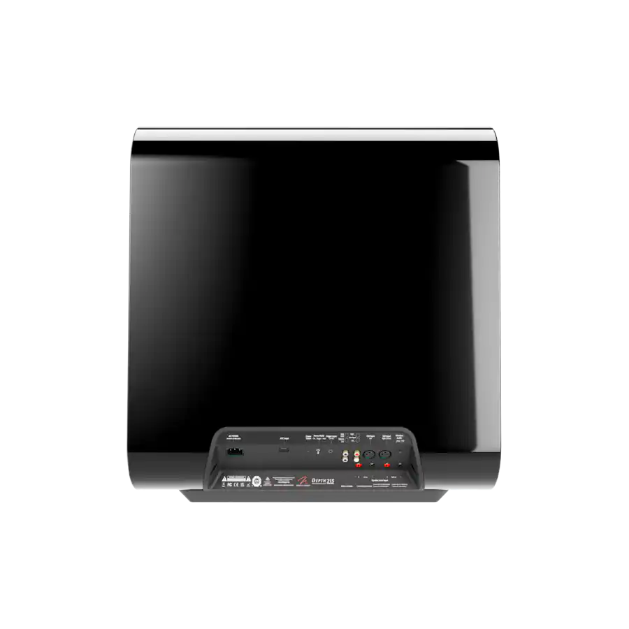 MartinLogan Depth 215 15-inch Subwoofer rear view