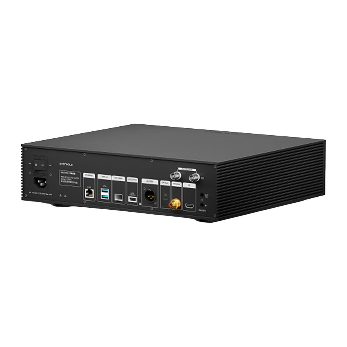 EverSolo T10 Streaming Transport rear view